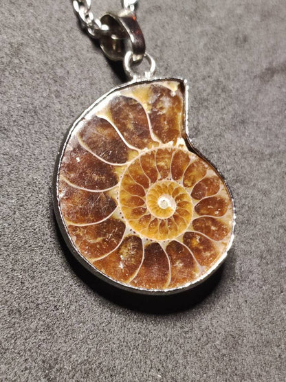 Ammonite Schnecke ~ Anhänger Kette ~HIPPIE ~GOA ~Boho ~Ethno ~Nature ~Heilstein ~Fossil ~Spirale - Art of Nature Berlin