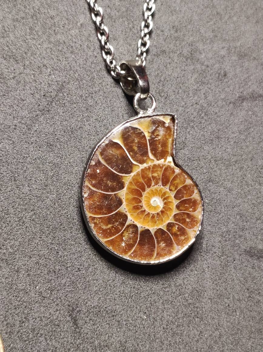 Ammonite Schnecke ~ Anhänger Kette ~HIPPIE ~GOA ~Boho ~Ethno ~Nature ~Heilstein ~Fossil ~Spirale - Art of Nature Berlin