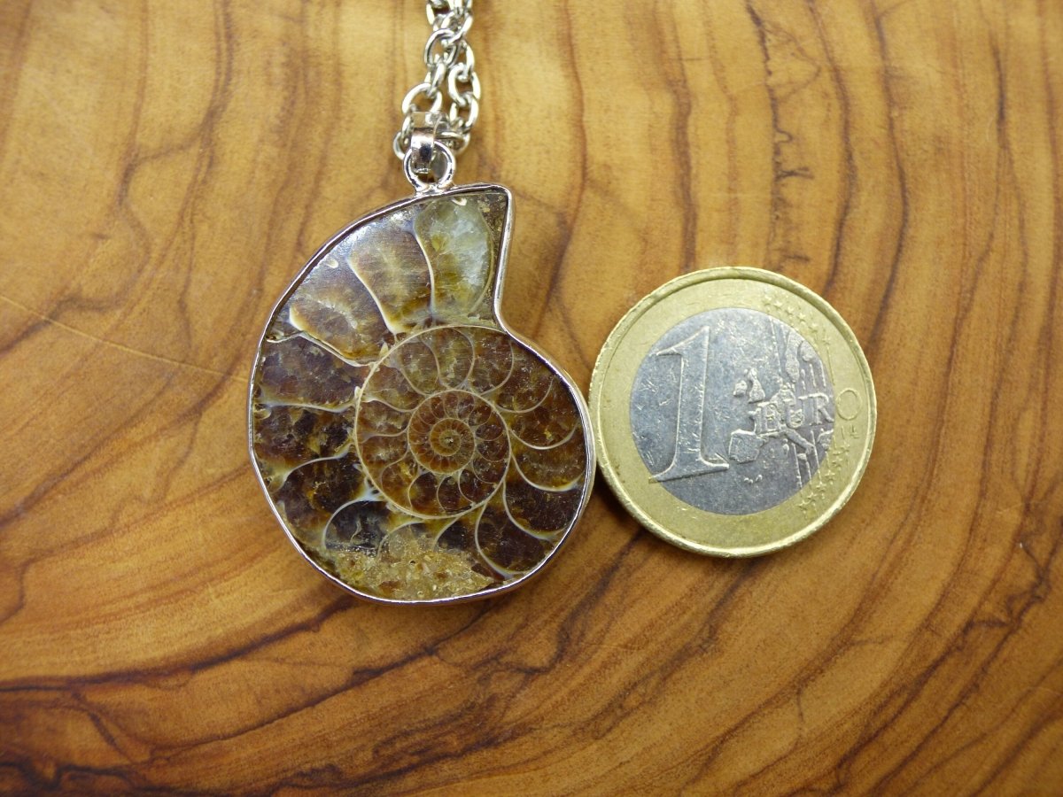 Ammonite Schnecke ~ Anhänger Kette ~HIPPIE ~GOA ~Boho ~Ethno ~Nature ~Heilstein ~Fossil ~Spirale - Art of Nature Berlin