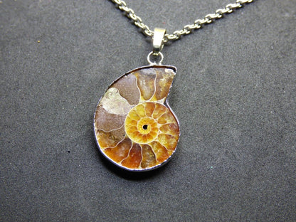 Ammonite Schnecke ~ Anhänger Kette ~HIPPIE ~GOA ~Boho ~Ethno ~Nature ~Heilstein ~Fossil ~Spirale - Art of Nature Berlin