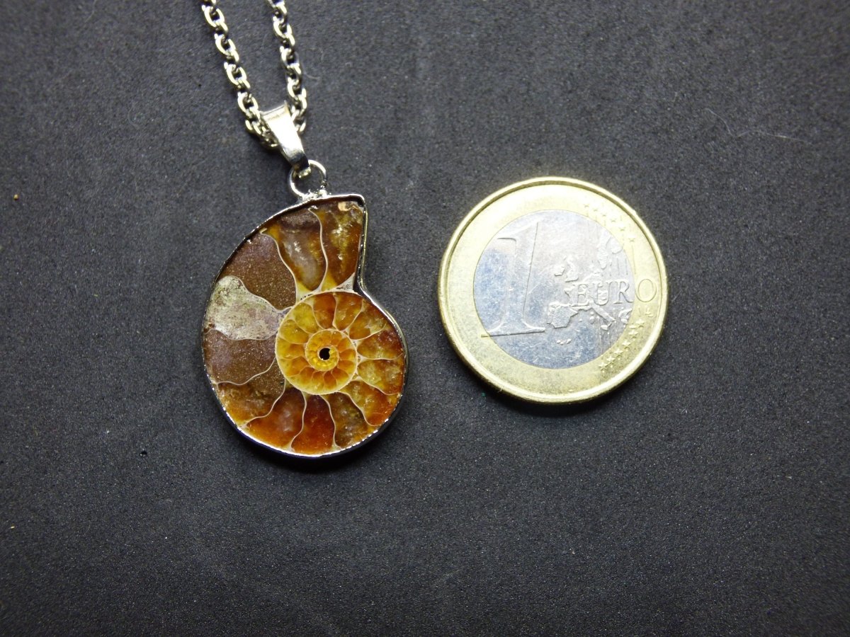 Ammonite Schnecke ~ Anhänger Kette ~HIPPIE ~GOA ~Boho ~Ethno ~Nature ~Heilstein ~Fossil ~Spirale - Art of Nature Berlin