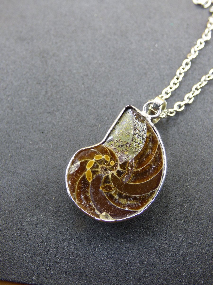 Ammonite Schnecke ~ Anhänger Kette ~HIPPIE ~GOA ~Boho ~Ethno ~Nature ~Heilstein ~Fossil ~Spirale - Art of Nature Berlin