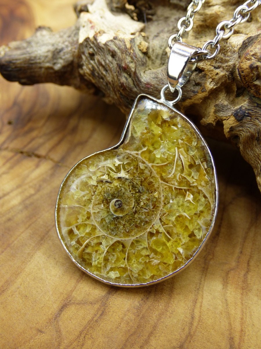 Ammonite Schnecke ~ Anhänger Kette ~HIPPIE ~GOA ~Boho ~Ethno ~Nature ~Heilstein ~Fossil ~Spirale - Art of Nature Berlin