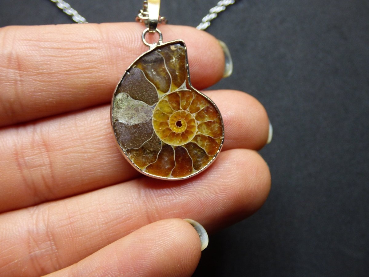 Ammonite Schnecke ~ Anhänger Kette ~HIPPIE ~GOA ~Boho ~Ethno ~Nature ~Heilstein ~Fossil ~Spirale - Art of Nature Berlin