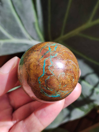 Chrysocoll AAA Sphere ~ Magische Edelstein Kugel Massage & Deko Crystal Meditation Heilstein Rarität Sammler Mineral Rund Chrysokolla Boho - Art of Nature Berlin